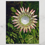 Protea Bloom - Maui Flyers