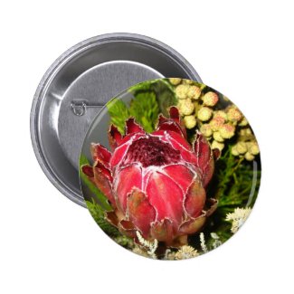 Protea Bouquet Button