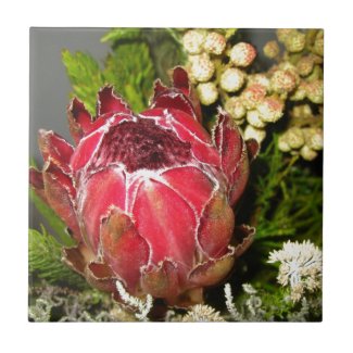 Protea Bouquet Ceramic Tile