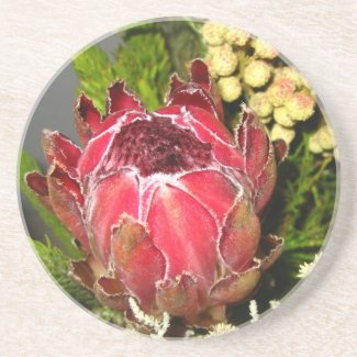 Protea Bouquet Coaster
