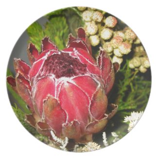 Protea Bouquet Dinner Plate