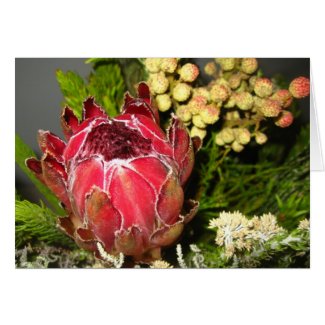 Protea Bouquet Greeting Cards