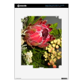 Protea Bouquet iPad 3 Decal
