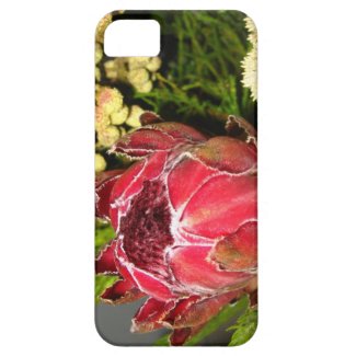 Protea Bouquet iPhone 5 Case