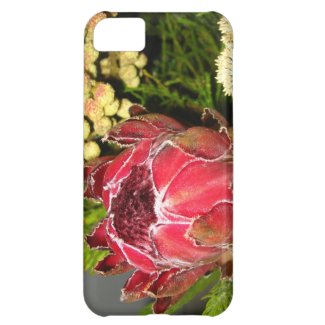 Protea Bouquet iPhone 5C Covers