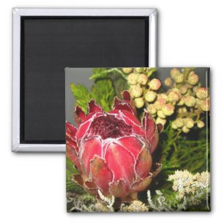 Protea Bouquet Magnets