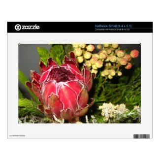 Protea Bouquet Netbook Decal