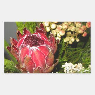 Protea Bouquet Sticker