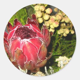Protea Bouquet Sticker