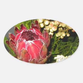 Protea Bouquet Stickers