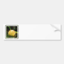 Protea Bumper Sticker