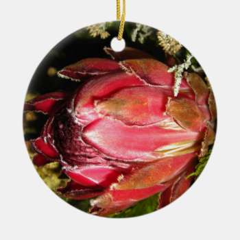 Protea Flower Christmas Tree Ornament