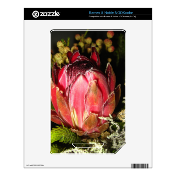 Protea Flower Decal For The NOOK Color