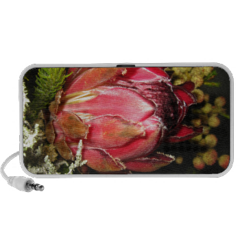 Protea Flower iPhone Speaker