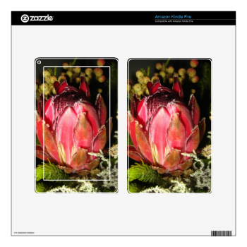 Protea Flower Kindle Fire Decals