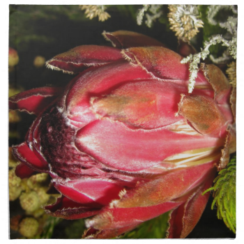 Protea Flower Napkins