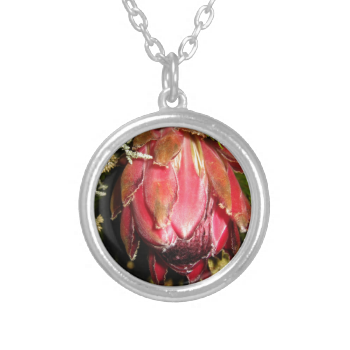 Protea Flower Necklaces