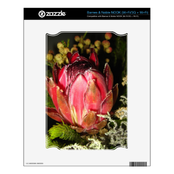 Protea Flower NOOK Decals