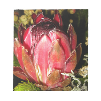 Protea Flower Notepad