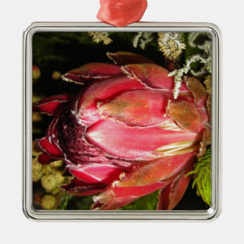 Protea Flower Ornament