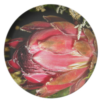 Protea Flower Plates