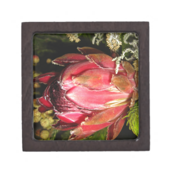 Protea Flower Premium Gift Box