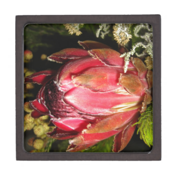 Protea Flower Premium Trinket Box