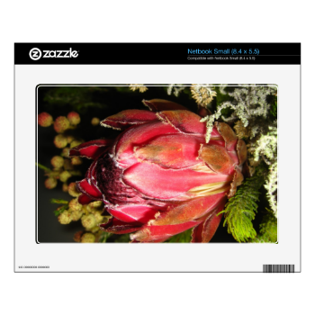 Protea Flower Skins For Small Netbooks