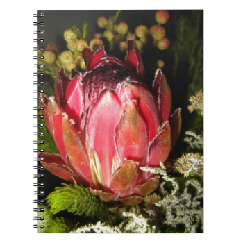 Protea Flower Spiral Note Book