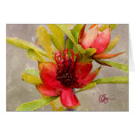 Protea Love Greeting Card