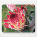 protea mousepad