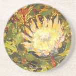Protea Sunrise, DarrellHillArt.com Beverage Coaster