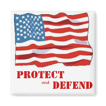 Protect and Defend magnets