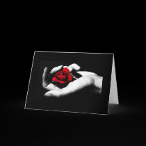 Protect cards by ickledink Protect cards