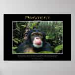 PROTECT Chimpanzee Conservation Art Poster posters