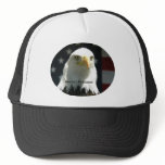 Protect Freedom Hat