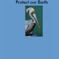 Protect our Earth TSHIRT
