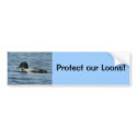 Protect our Loons Bumper Sticker bumper stickers