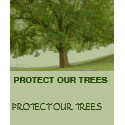 PROTECT OUR TREES t-shirts