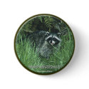 "PROTECT OUR WILD ANIMALS!" Button