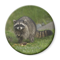 "PROTECT OUR WILD PLACES" Raccoon Magnets by RavenSpiritPrints "PROTECT OUR WILD PLACES" Raccoon Magnets