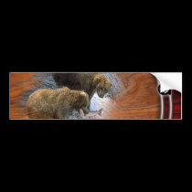 protect our wildlife bumper stickers