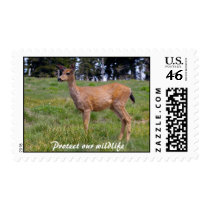 Protect our wildlife postage