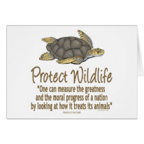Protect Sea Turtles cards