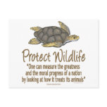 Protect Sea Turtles Post Cards