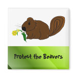 Protect the Beavers Magnets