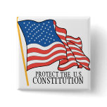 PROTECT THE CONSTITUTION PINS