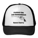 Protect the Second Amendment Hat
