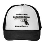 Protect the Second Semi-Auto Hat