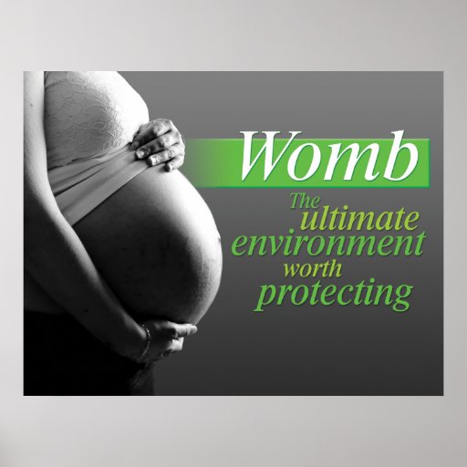 Protect the Womb Poster